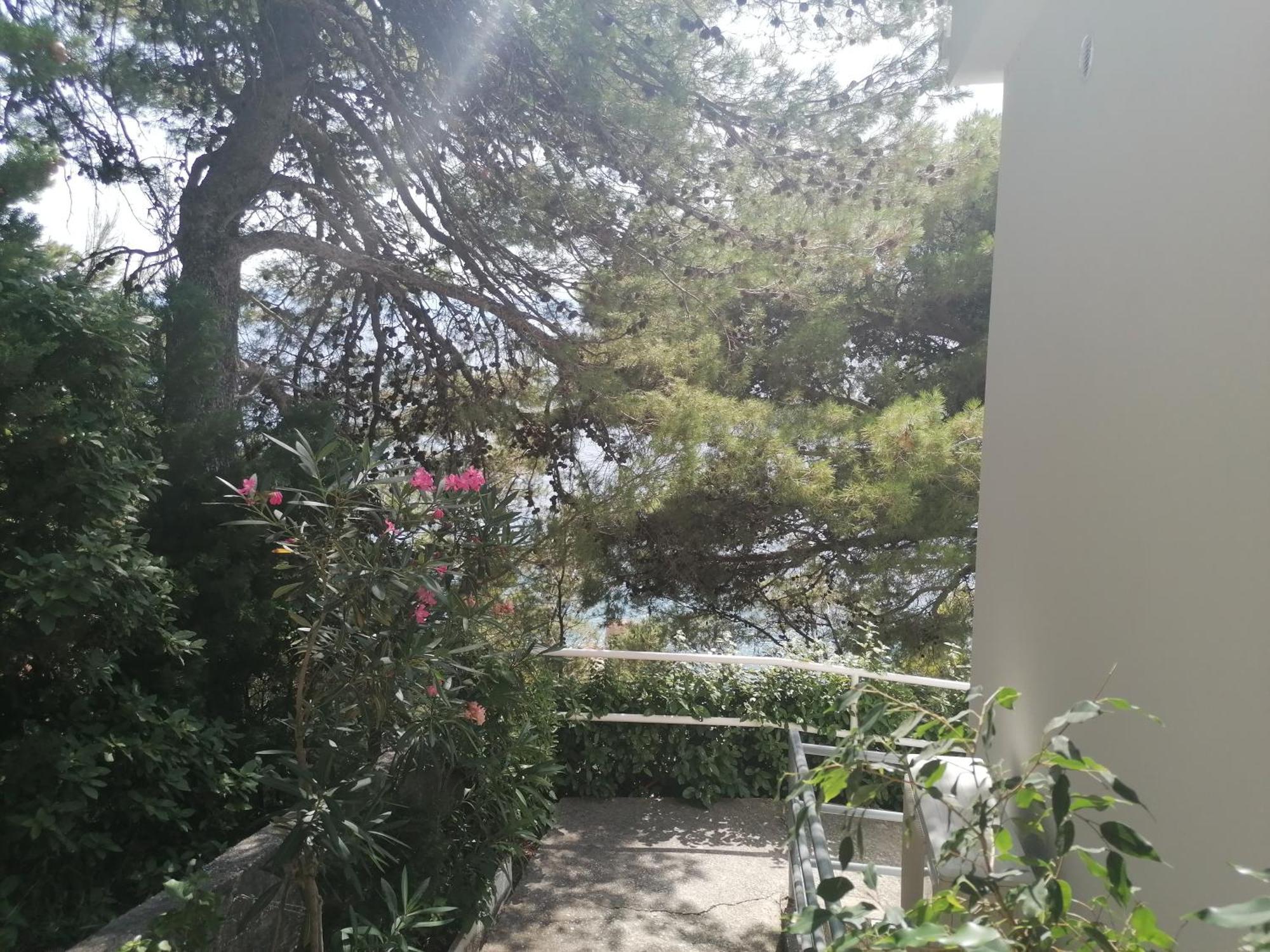 Apartmani Mares - 20 M From The Beach Brela Kültér fotó